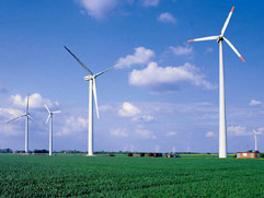 ISO Management Systems Implementation by BonTrack Solutions - ISO 14001 Environmental Management Systems